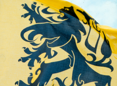 Vlaamse vlag