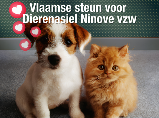 Vlaamse steun voor Dierenasiel Ninove VZW Vlaamse steun voor Dierenasiel Ninove VZW